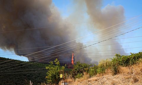 Bursa'da Orman Yangınına Hızla Müdahale
