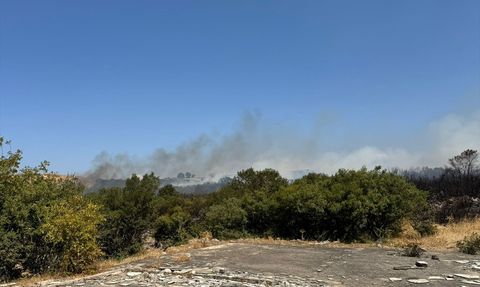 Bursa'da Orman Yangınına Hızla Müdahale Ediliyor