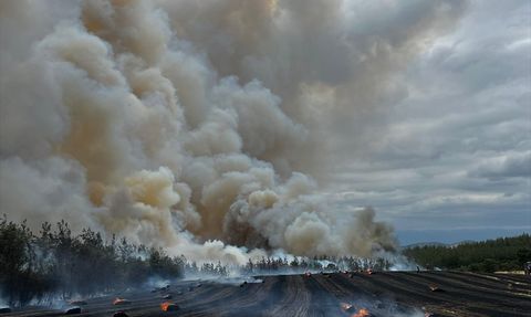 Bursa'da Orman Yangınına Müdahale Devam Ediyor