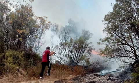 Bursa'da Zeytinlik Yangını Kontrol Altına Alındı