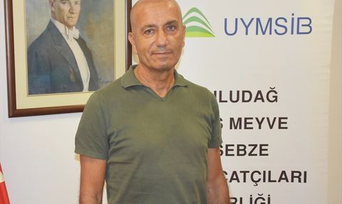 Bursa Siyah İncirinin İhracat Sorunları