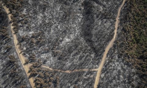 Çanakkale'de Dronla Görüntülenen Yangın Alanları