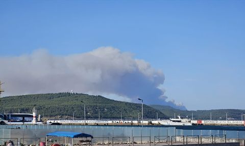 Çanakkale'de Orman Yangınına Hızlı Müdahale