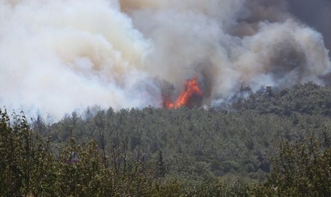 Çanakkale'de Orman Yangınına Hızlı Müdahale