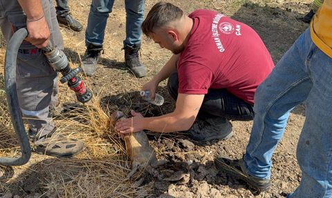 Çanakkale'deki Ahır Yangını Kontrol Altına Alındı
