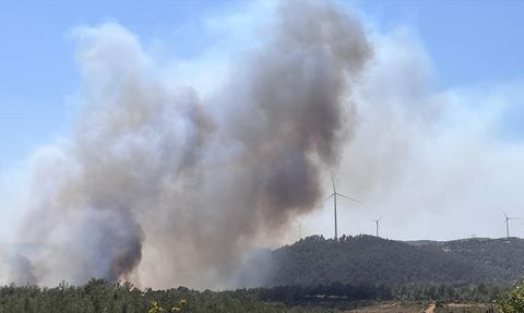 Çanakkale'deki Orman Yangınına Hızlı Müdahale