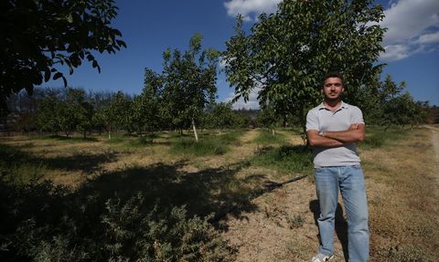 Çanakkale'deki Yangınlar ve Tarım Arazilerinin Korunması