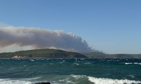 Çanakkale Gelibolu'daki Orman Yangınına Hızla Müdahale Ediliyor
