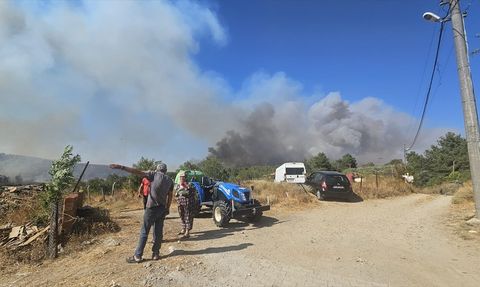 Çanakkale Gelibolu'daki Yangına Hızlı Müdahale