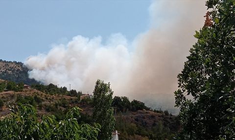 Çorum'daki Orman Yangınına Müdahale Devam Ediyor