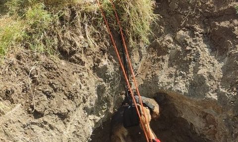 Datça'da Kuyuya Düşen Köpek Kurtarıldı