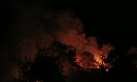 Denizli'de Orman Yangını Kontrol Altına Alındı