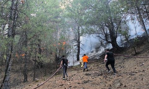 Denizli'de Orman Yangınına Müdahale Devam Ediyor