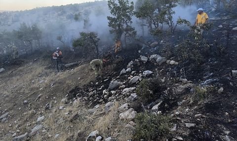 Diyarbakır'daki Orman Yangını Kontrol Altına Alındı