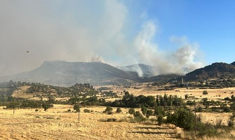 Diyarbakır'ın Hani ve Lice İlçelerinde Orman Yangınına Müdahale