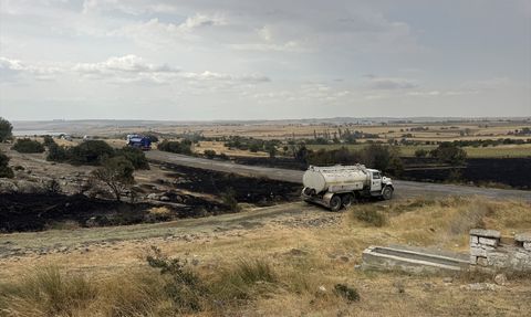 Edirne'de Orman Yangınına Hızla Müdahale Ediliyor