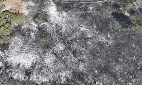 Edirne'deki Anız Yangını Kontrol Altına Alındı