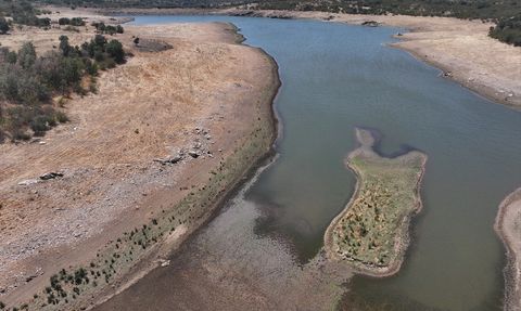 Edirne'deki Kuraklık Sebebiyle Tarım Ürünleri Kesat