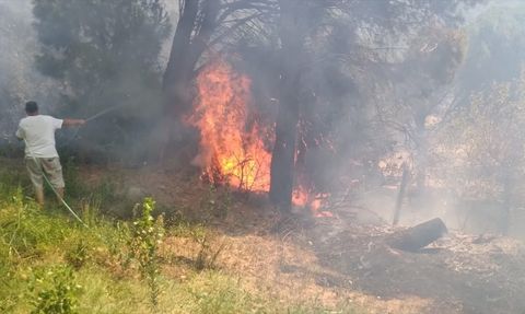Erdek'teki Orman Yangını Kontrol Altına Alındı