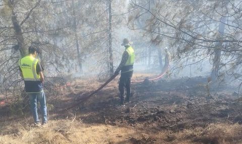 Gaziantep'te Orman Yangını Kontrol Altına Alındı
