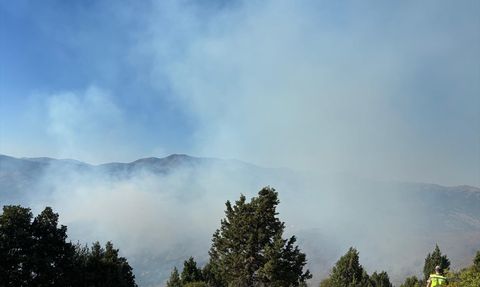 Gümüşhane'deki Orman Yangını Kontrol Altına Alındı