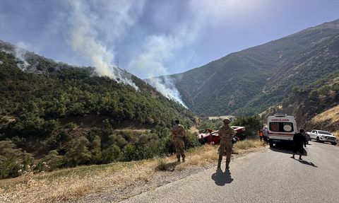 Hakkari'deki Ağaçlık Alanda Çıkan Yangın Kontrol Altına Alındı