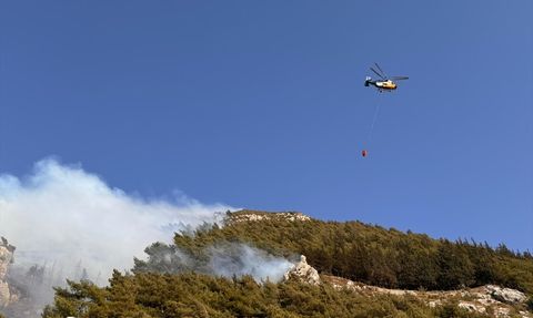 Hatay Antakya'da Orman Yangını: Hava ve Karadan Müdahale Devam Ediyor