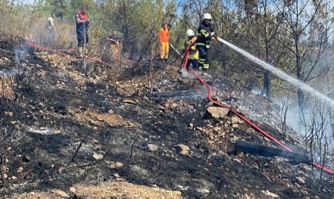 Hatay'da Orman Yangını Kontrol Altına Alındı