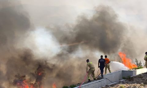 Hatay'da Orman Yangını: Müdahale Ekipleri Seferber Oldu