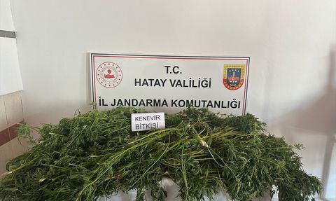 Hatay'da Uyuşturucu Operasyonu: 5 Şüpheli Yakalandı