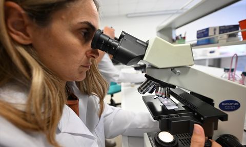 İklim Değişikliği Kestane Balının Kalitesini Tehdit Ediyor