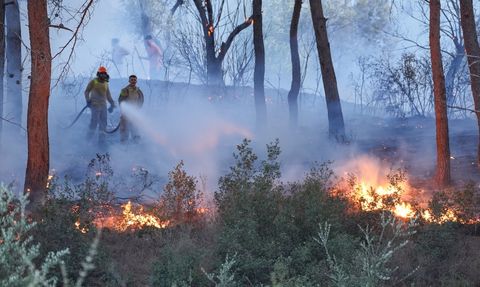 İzmir'de Otluk Alandan Ormana Sıçrayan Yangın Yapılandırılıyor
