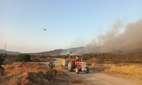 İzmir'de Tarım Alanında Başlayan Yangın Ormana Sıçradı