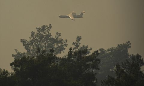 İzmir'de Tarım Alanından Ormana Sıçrayan Yangın