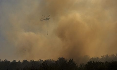 İzmir Menderes'te Orman Yangınına Neden Olan Kaynak Ustası Tutuklandı