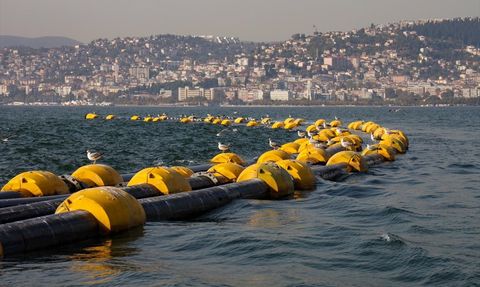İzmit Körfezi'nde Balık Popülasyonu Yüzde 35 Arttı