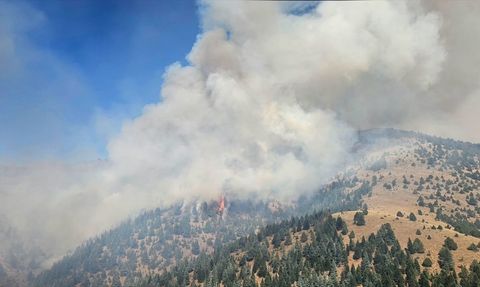 Kahramanmaraş'ta Orman Yangınına Müdahale Devam Ediyor