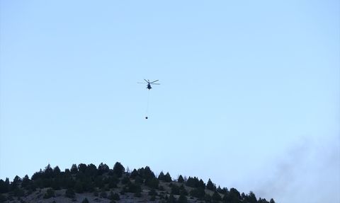 Kahramanmaraş'taki Orman Yangınına Müdahale Devam Ediyor