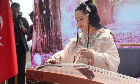 Kapadokya'da Çin Kaligrafi ve Resim Sergisi Açıldı