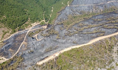Karabük'te Yangın Sonrası Orman Alanları Havadan Görüntülendi