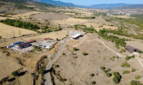 Karabük'teki Hadrianopolis Antik Kenti'nde Uluslararası Sanat Terapisi Çalıştayı