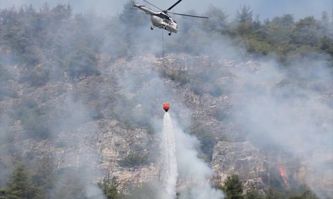 Karabük Valisi Yavuz: Orman Yangını Kontrol Altına Alındı