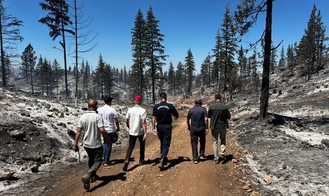 Karaman'da Orman Yangınları Kontrol Altında