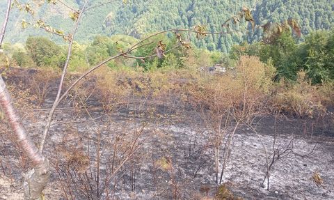 Kastamonu'da Yangın Kontrol Altına Alındı