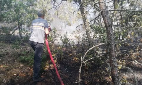 Kastamonu'daki Orman Yangını Kontrol Altına Alındı