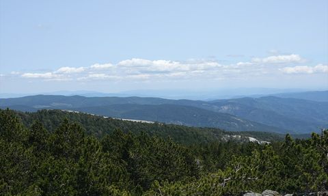 Kazdağları'nın Eşsiz Bitki Çeşitliliği