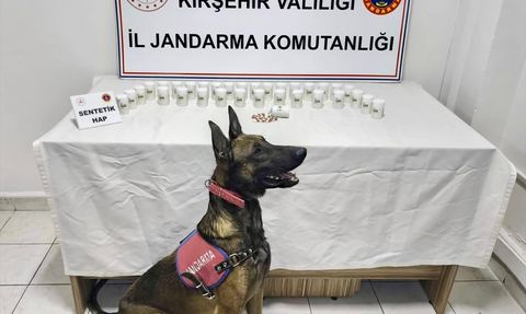 Kırşehir'de Uyuşturucu Operasyonu: 1823 Sentetik Hap Ele Geçirildi