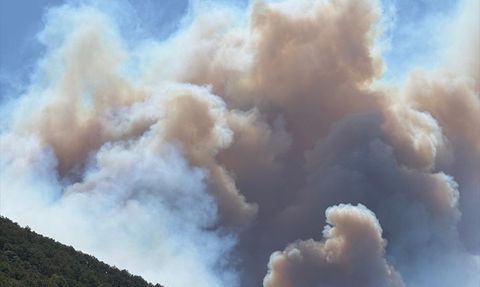 Kocaeli'de Orman Yangınına Müdahale Devam Ediyor