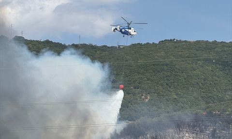 Kocaeli'de Otluk Alanda Yangın Başladı