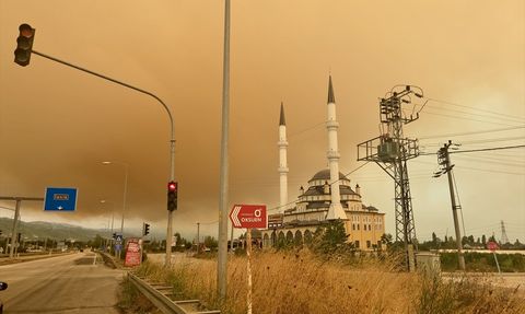 Kocaeli'deki Orman Yangını Dumanı Bursa'yı Etkiledi